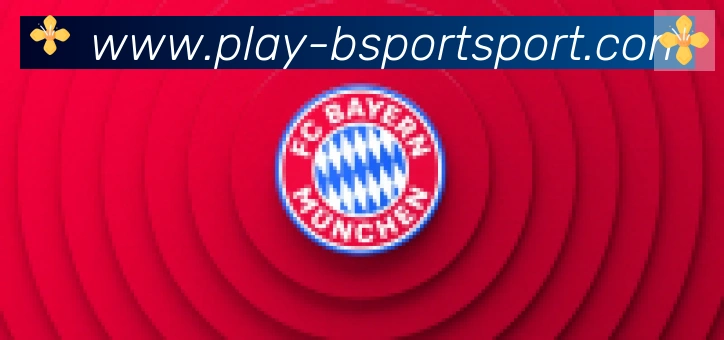 Bsports官网合作伙伴