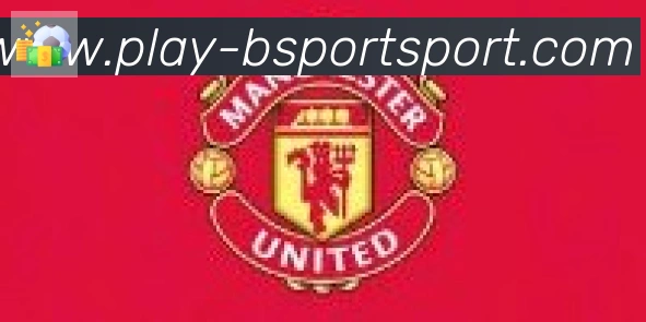 Bsports官网合作伙伴