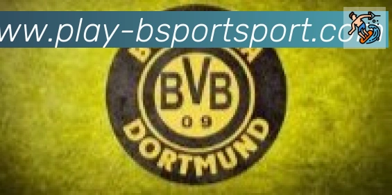 Bsports官网合作伙伴