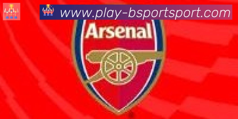 Bsports官网合作伙伴